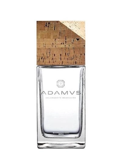 Adamus Bagaceira Marc