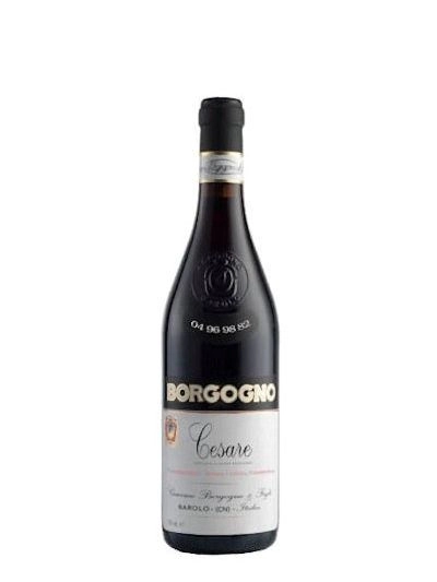 Borgogno Cesare 04 96 98 82