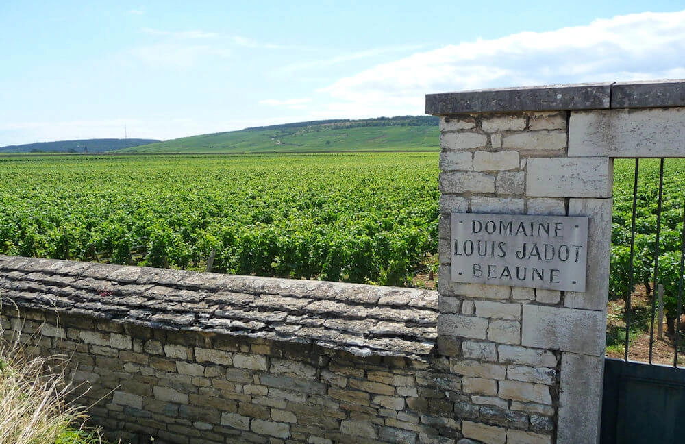De vele gezichten van Louis Jadot