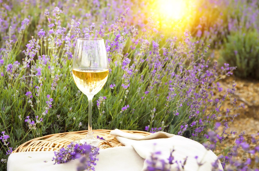 Sauvignon Blanc Dag